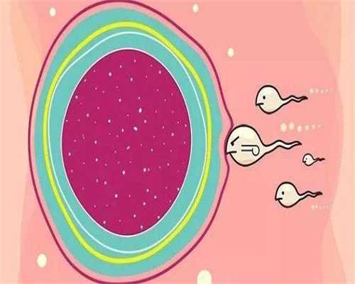 无锡单身女性必看？供卵助孕前宫腔镜检查避坑攻略