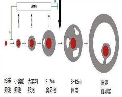 无锡同志家庭试管婴儿实录|不孕不育医保报销经验分享
